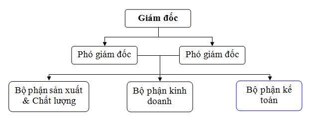 CƠ CẤU TỔ CHỨC